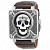 Aviation Black Skull Dial Men's Limited Edition Watch